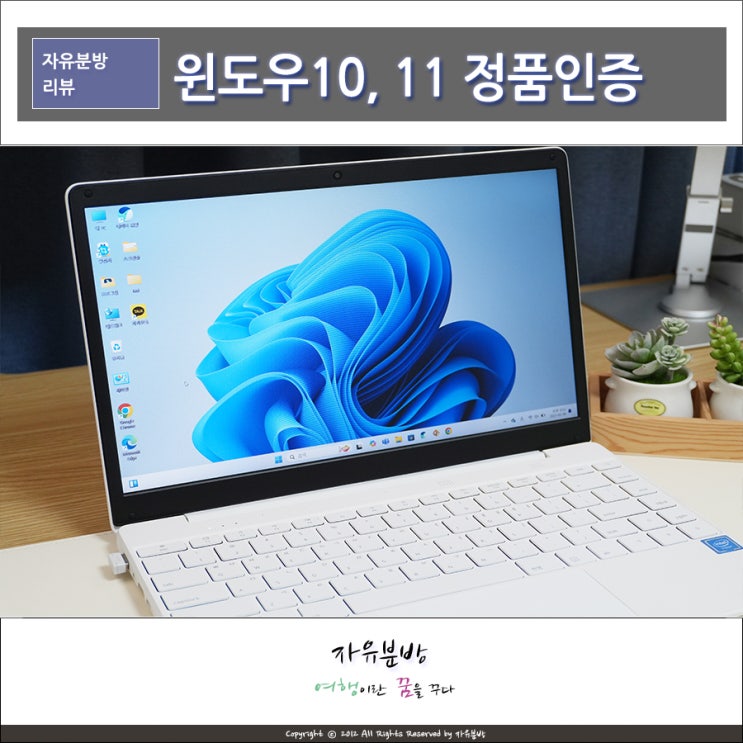 윈도우 10 11 정품인증 및 Widnows 구매 사이트 SCDKEY : 네이버 블로그