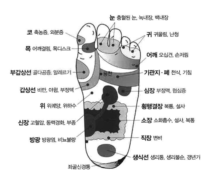 발지압 슬리퍼를 신으면 나타나는 효과 네가지(feat 발저림) : 네이버 블로그