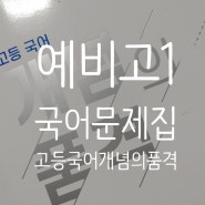 예비고1 국어개념문제집 고등국어 개념의품격