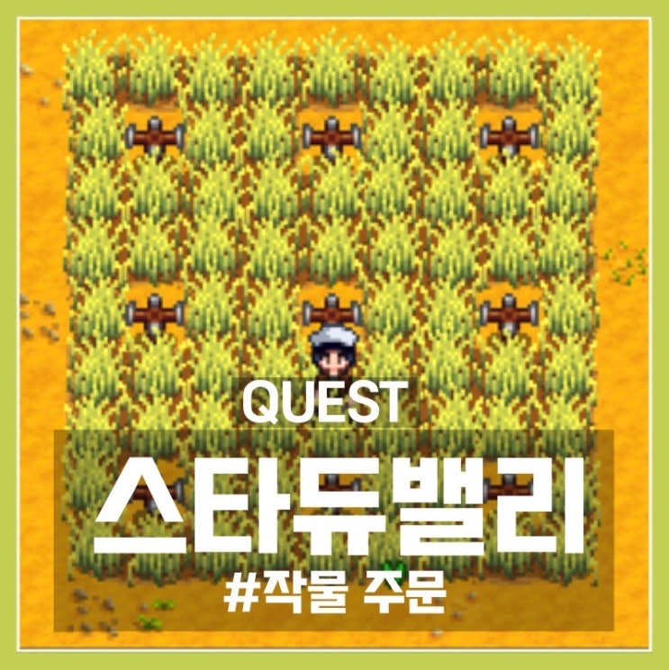 [스타듀밸리_모바일] (quest) 주주시티의 밀 100개 “작물
