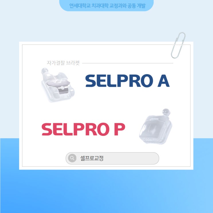 [셀프로교정] 셀프로에이(SELPRO A) | 셀프로피 (SELPRO P) : 네이버 블로그
