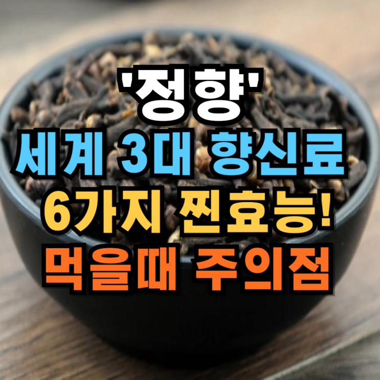정향 효능 세계3대 향신료 6가지 찐효능, 먹을때 주의점 : 네이버 블로그
