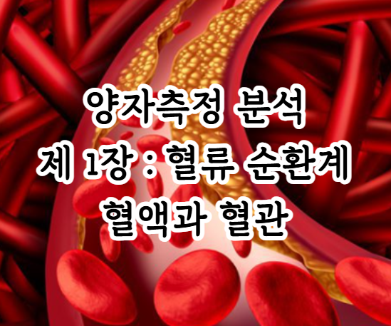 양자측정기, 혈류 순환계 제 1장 혈액과 혈관에 대해서 : 네이버 블로그