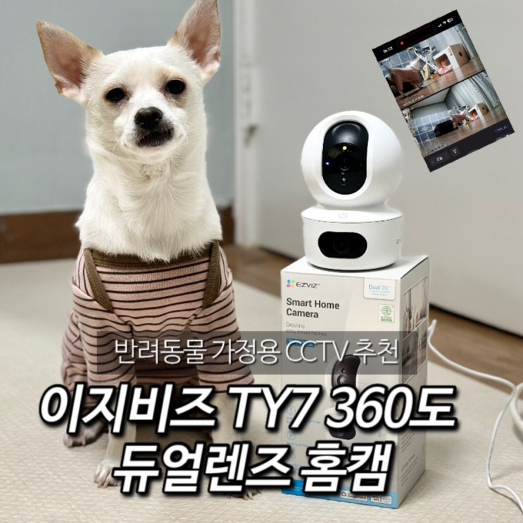 360도 홈캠 추천 반려동물CCTV 사용후기 : 네이버 블로그