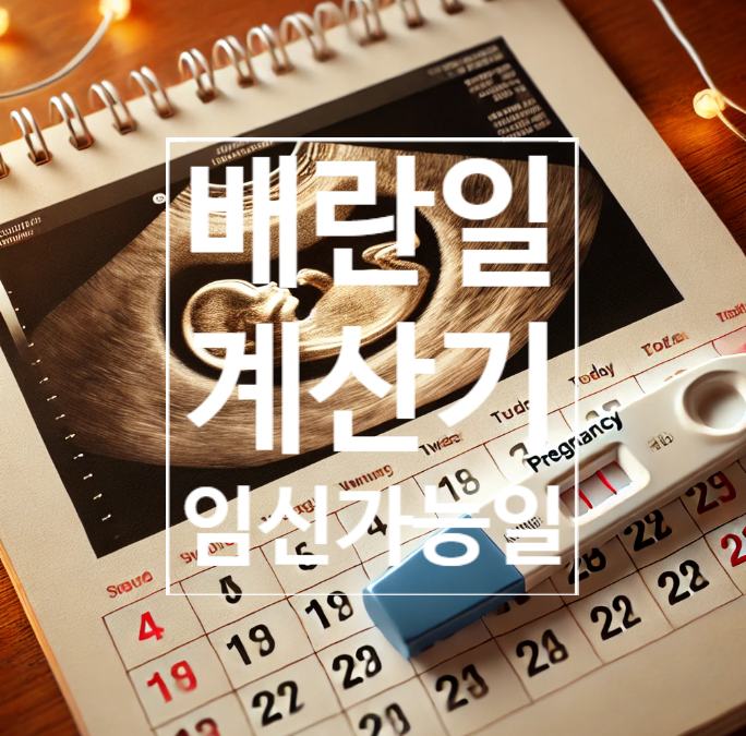 배란일 계산기 임신 가능일 임신확률 가임기 계산 방법 : 네이버 블로그