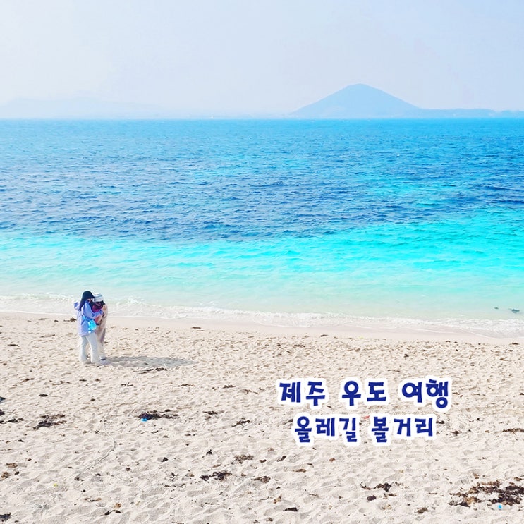 제주 우도 여행 코스 올레길 볼거리 천진항 비양도 우도봉 : 네이버 블로그