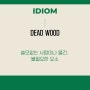 강남역 일대일 영어회화/dead wood/ 스피킹 스튜디오/ 영어 공부/ 비즈니스 영어