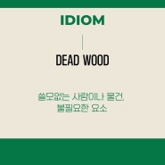 강남역 일대일 영어회화/dead wood/ 스피킹 스튜디오/ 영어 공부/ 비즈니스 영어