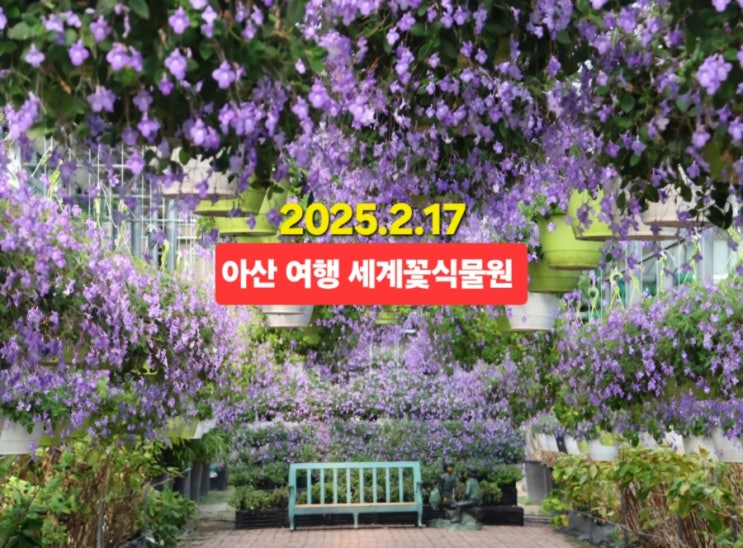 아산 여행 세계꽃식물원 / 아산 3월 가볼만한곳 : 네이버 블로그
