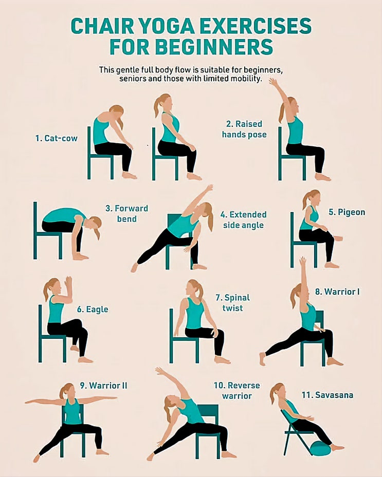 chair-yoga-exercises-for-beginners