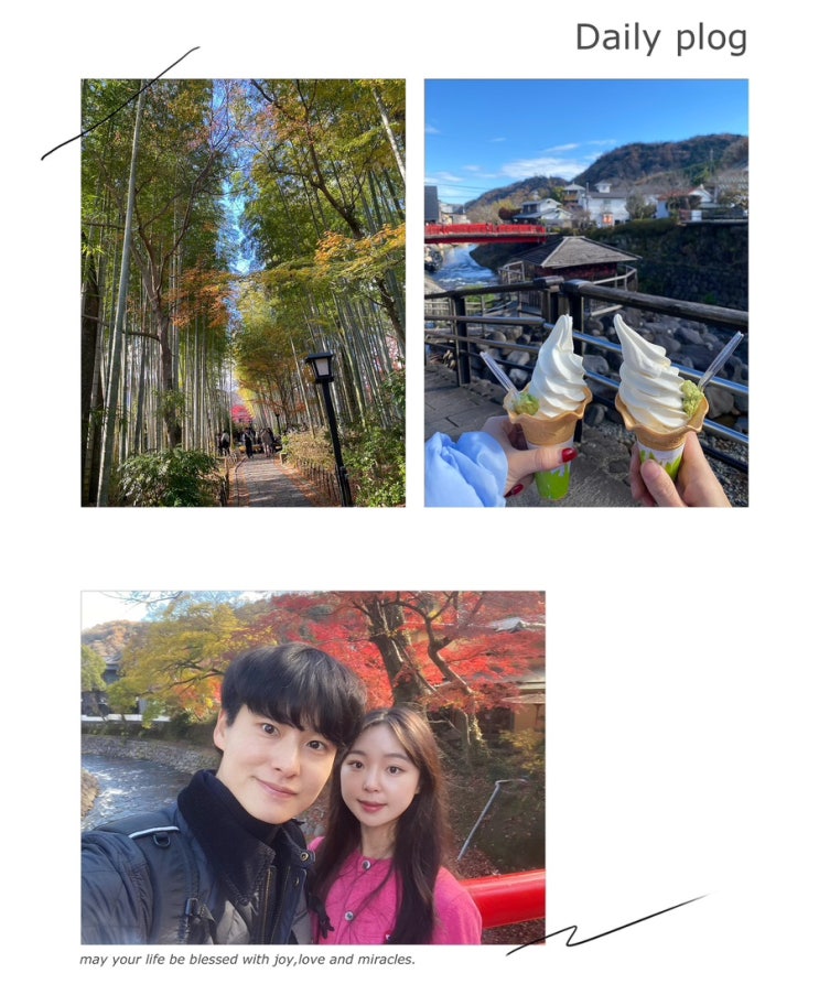 시즈오카 슈젠지 여행 - 카페 히로노, 돗코노유, 대나무 숲길, 슈젠....