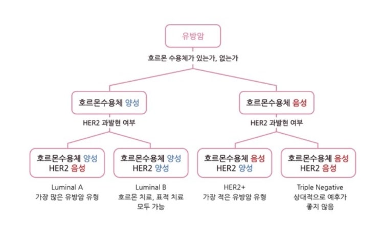 항암 전 최종진료와 tcph 선행항암 시작 : 네이버 블로그