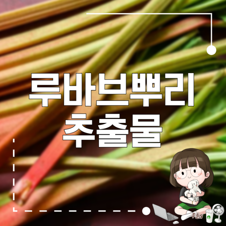 루바브뿌리추출물 대황 효능 부작용은? : 네이버 블로그