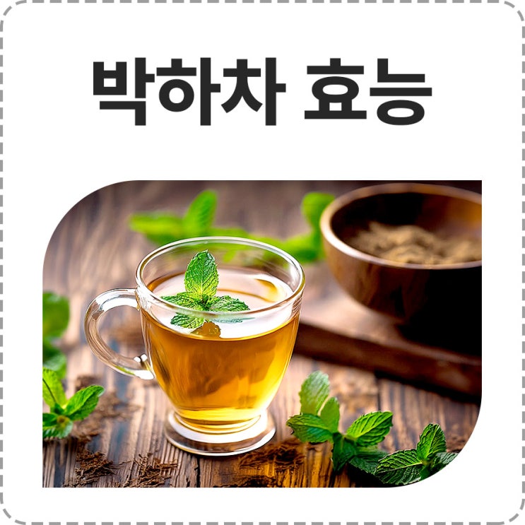 박하차 효능과 부작용 차끓이기 카페인은? : 네이버 블로그