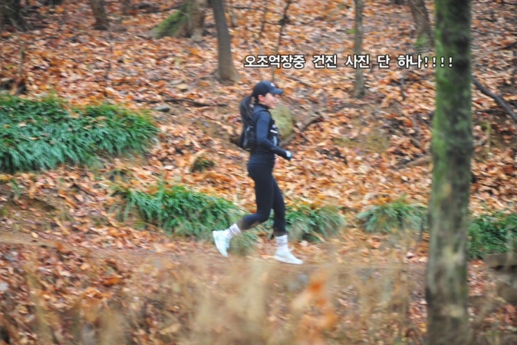 대구 앞산붕어빵트레일러닝 10km 완주후기
