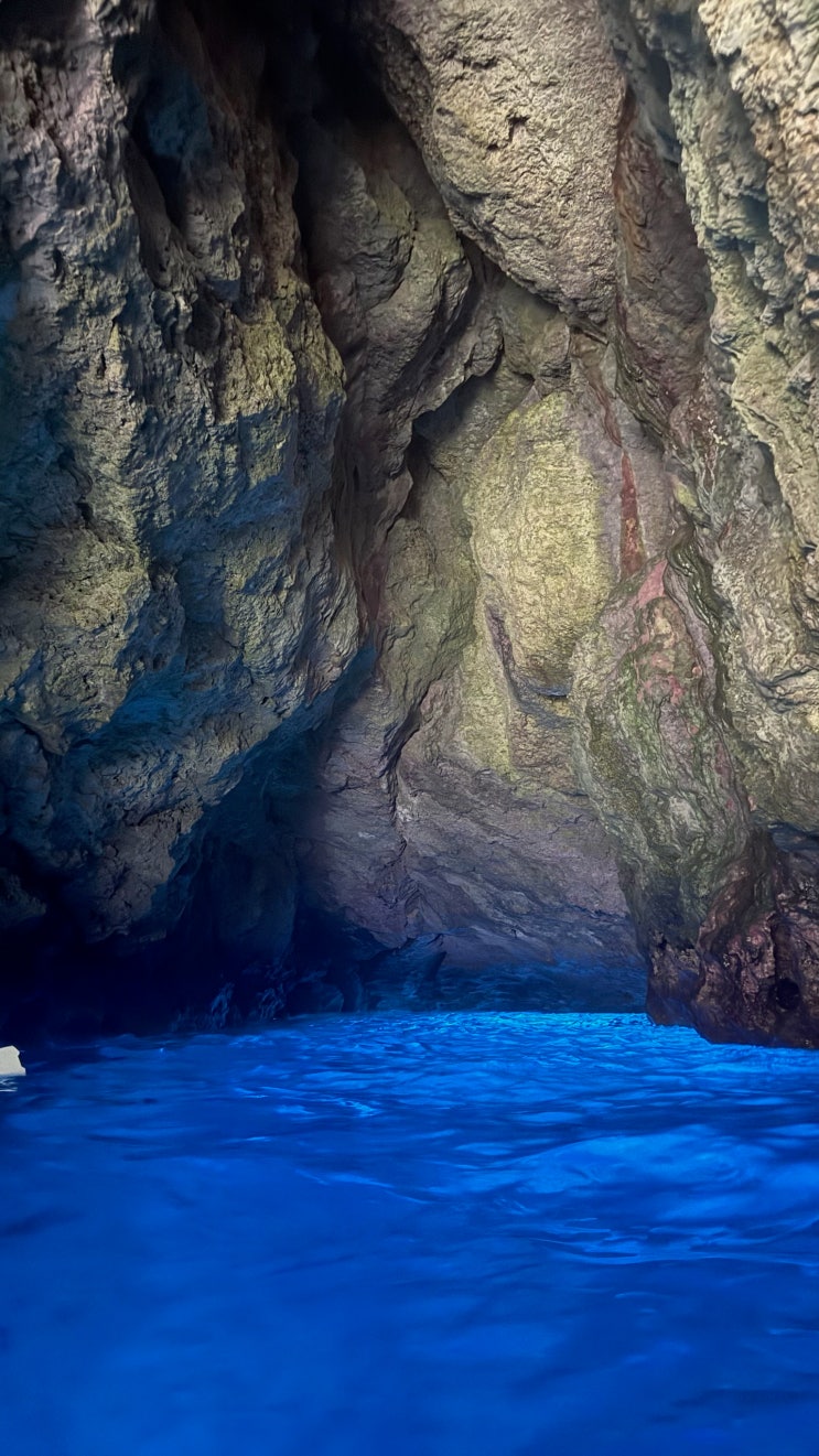 2월 사이판 : Day 2 웰하우스, 0.5박 숙소, 그로토 (Grotto) 동굴투어, 아쿠아 리조트 사이판 : 네이버 블로그