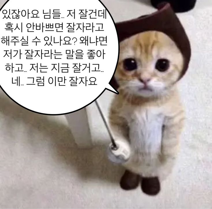 있잖아요님들저잘건데 혹시안바쁘면 잘자라고해주실수있나요? 왜냐면 저가 잘자라는 말을 좋아하고 저는 지금 잘거고 네 그럼 이만 잘 ...