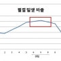 편리한 성산읍 봄베이 고양이 분양 후기와 정보