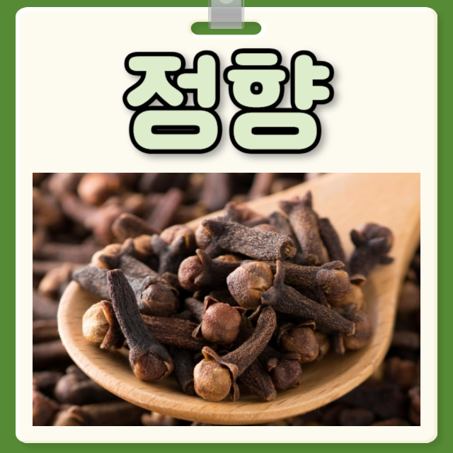 정향 효능 부작용 정향 먹는 법 : 네이버 블로그