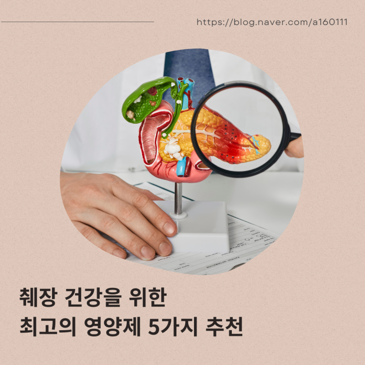 췌장 건강을 위한 최고의 영양제 5가지 추천 : 네이버 블로그