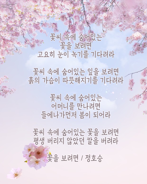 2025년 3월 기묘(己卯)월 일간별 운세 : 네이버 블로그