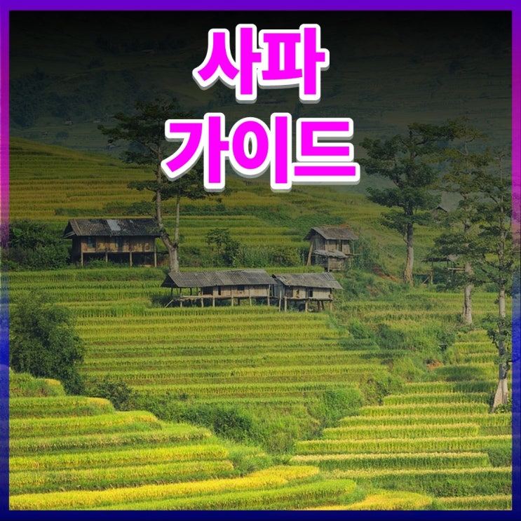 베트남 사파 : 완벽한 관광 및 문화 여행 가이드 : 네이버 블로그