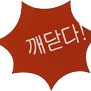 만성 알러지 치료기(13)