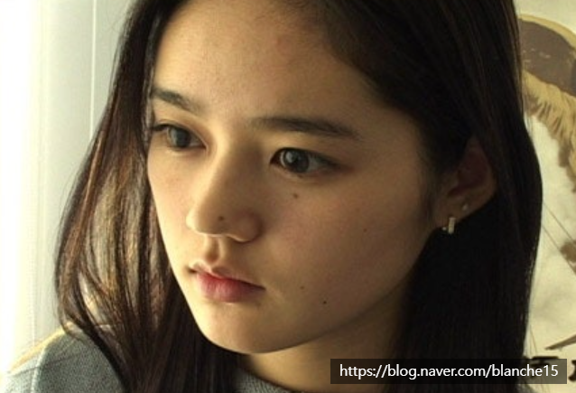 한가인 쌩얼 사진 봤어? 데뷔전 리즈시절 모음 : 네이버 블로그
