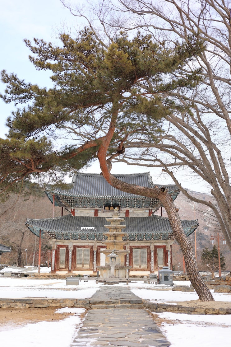 [충남 부여] 무량사 겨울 풍경 : 네이버 블로그