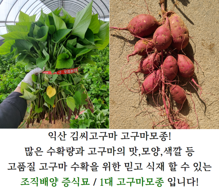 링크 미리보기