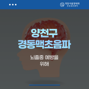 양천구 경동맥초음파 뇌졸중 예방을 위해