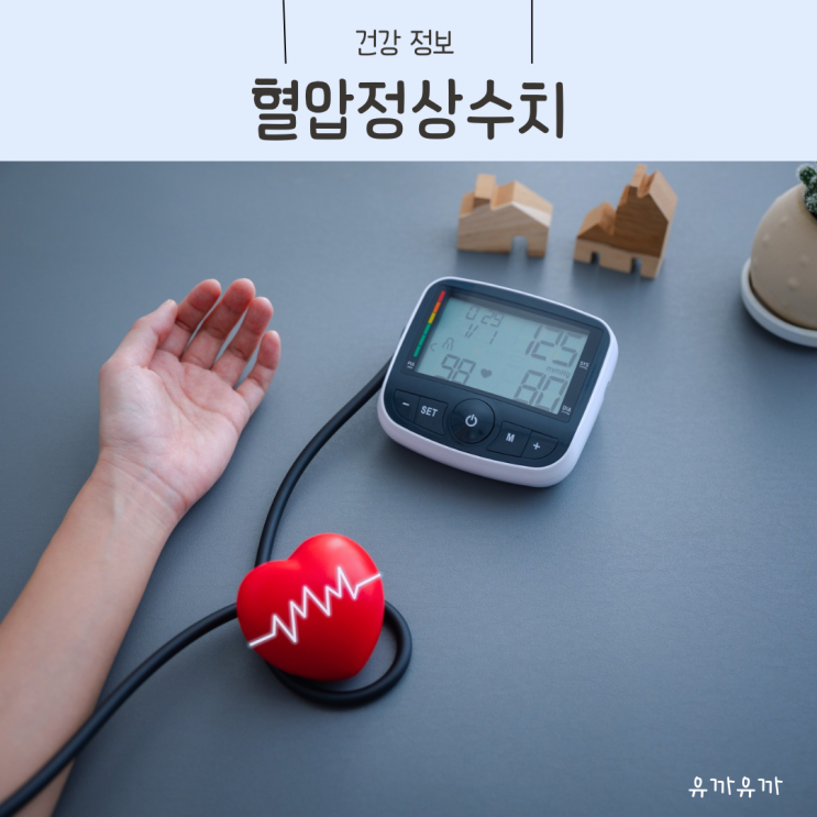 고혈압 혈압정상수치 성인기준, 최저 혈압정상 수치 알아보기 : 네이버 블로그