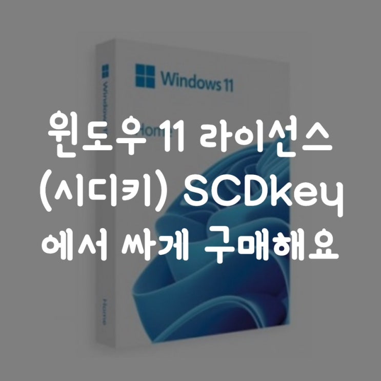 윈도우 11 라이선스(시디키) SCDkey 에서 싸게 구매해요 : 네이버 블로그