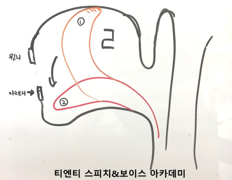 따라하면 좋아지는 ㄹ발음 연습법 : 네이버 블로그