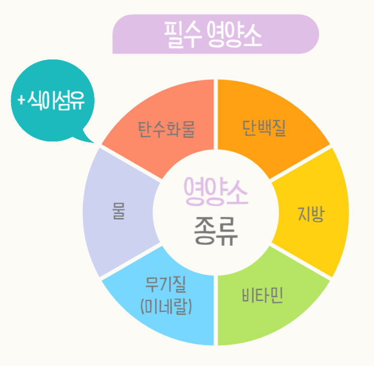 [반야월 헬스 짐매스] 필수 영양소 종류와 기능 / 3대 5대 6대 7대 : 네이버 블로그