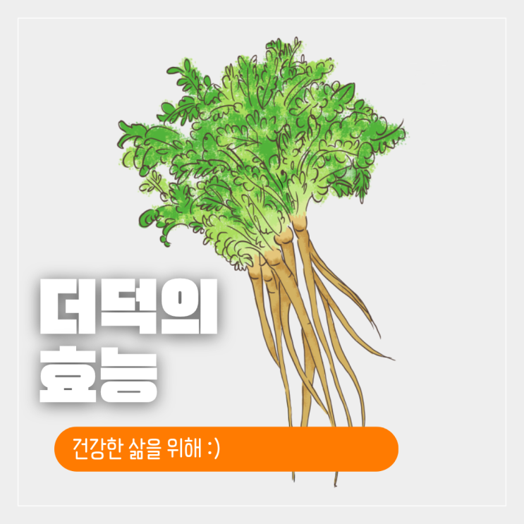 더덕의효능 산더덕 야생더덕 자연산더덕 : 네이버 블로그