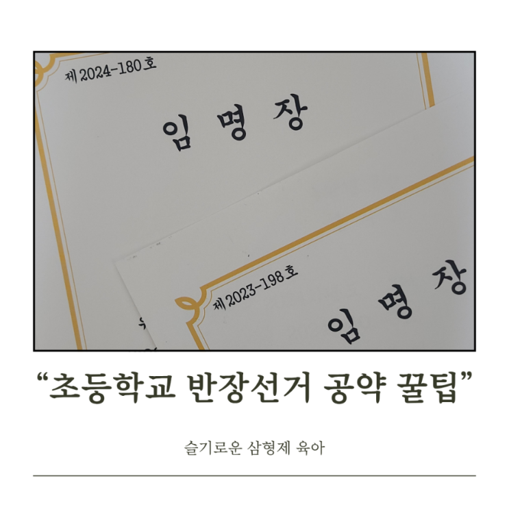 초등학교 반장선거 공약 꿀팁 방출! 멘트와 예시 : 네이버 블로그