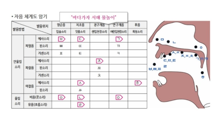 한국어의 경음 발음 학습 (ㄲ, ㄸ, ㅃ, ㅆ, ㅉ) GTK G1.6.1 – 경음 (ㄲ, ㄸ, ㅃ, ㅆ, ㅉ) 발음 응용 연습 ...