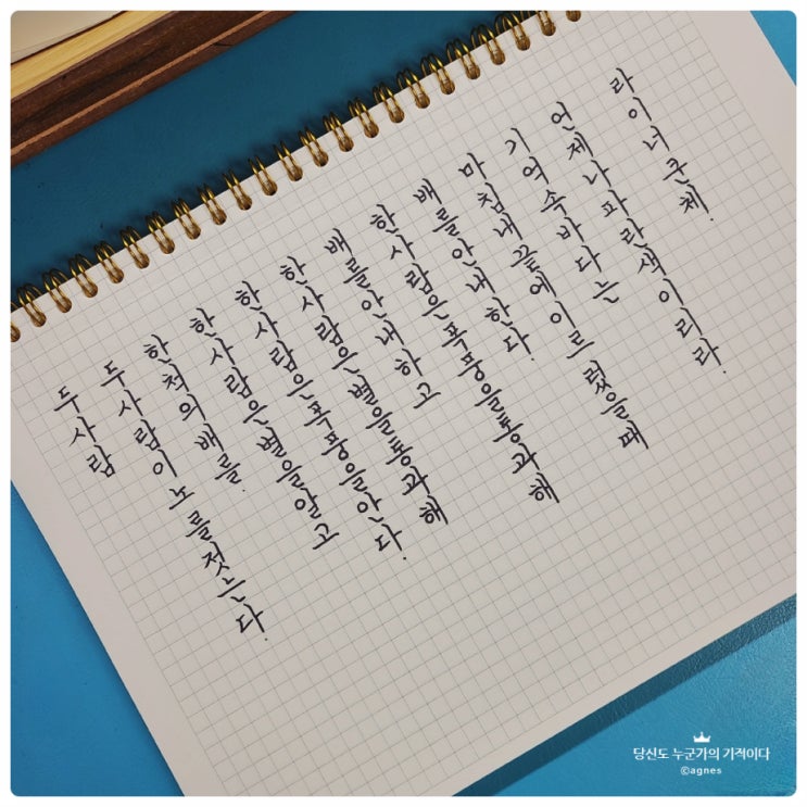 라이너 쿤체 두 사람 (두 사람이 노를 젓다 Rudern zwei) : 네이버 블로그