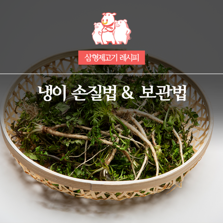냉이 손질법 어렵지 않아요! 세척부터 보관까지 쉽게 배우기 : 네이버 블로그