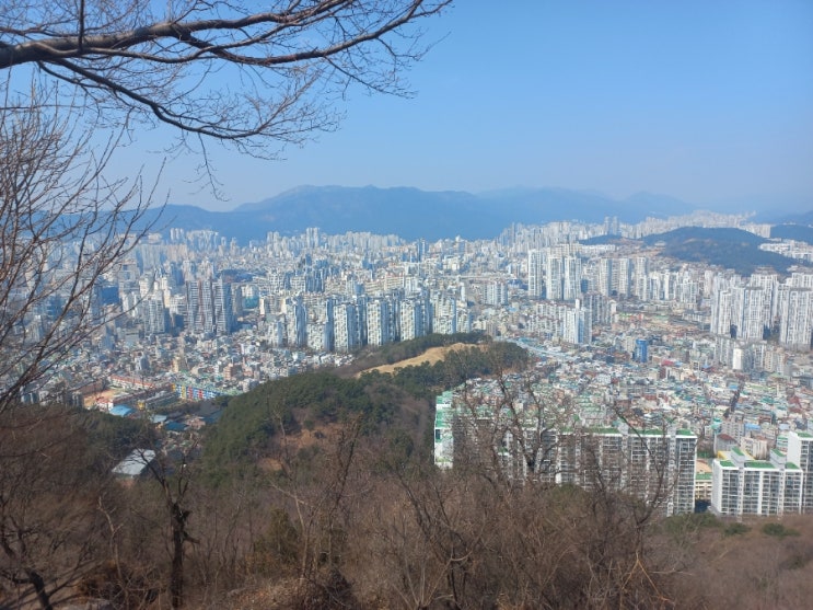 정기산행 배산 산책 : 네이버 블로그