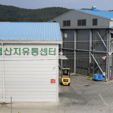 영천농협 샤인머스캣 홍보영상 제작 [한국어+영어 홍보영상 브로슈어 제작]