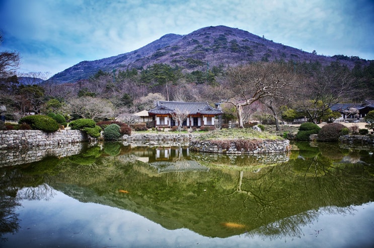 진도 여행 가이드 | 필수 관광명소 BEST 10 & 맛집 추천 총정리 : 네이버 블로그