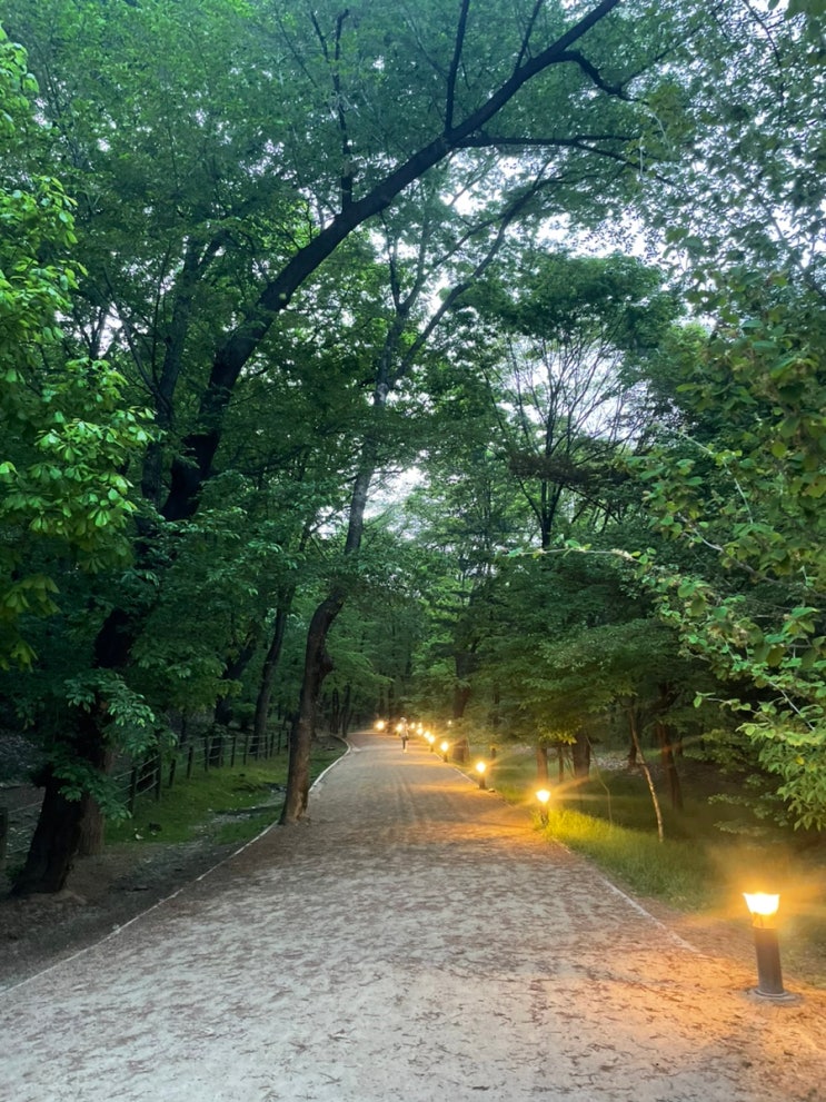대흥이용원 사진
