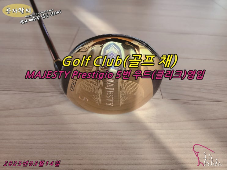 golf-club-majesty-prestigio-5