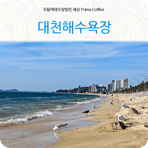 대천가볼만한곳 대천해수욕장 포함 바다 나들이 : 네이버 블로그