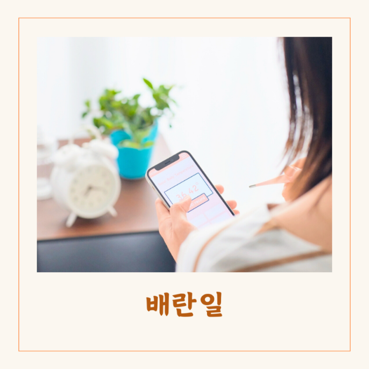 임신준비 배란기 시기 기초체온법 배란일 이후 증상 : 네이버 블로그