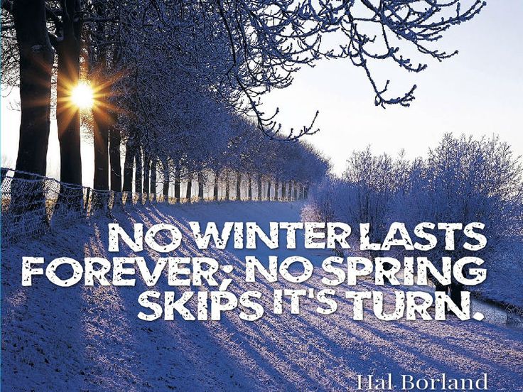No winter lasts forever; no spring skips its turn. : 네이버 블로그