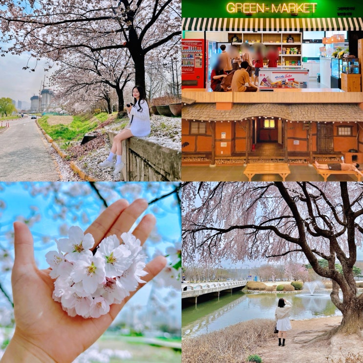 대전 여행 코스 가볼만한곳 대전 벚꽃명소 유성온천 찜질방 추천 외 best5 : 네이버 블로그