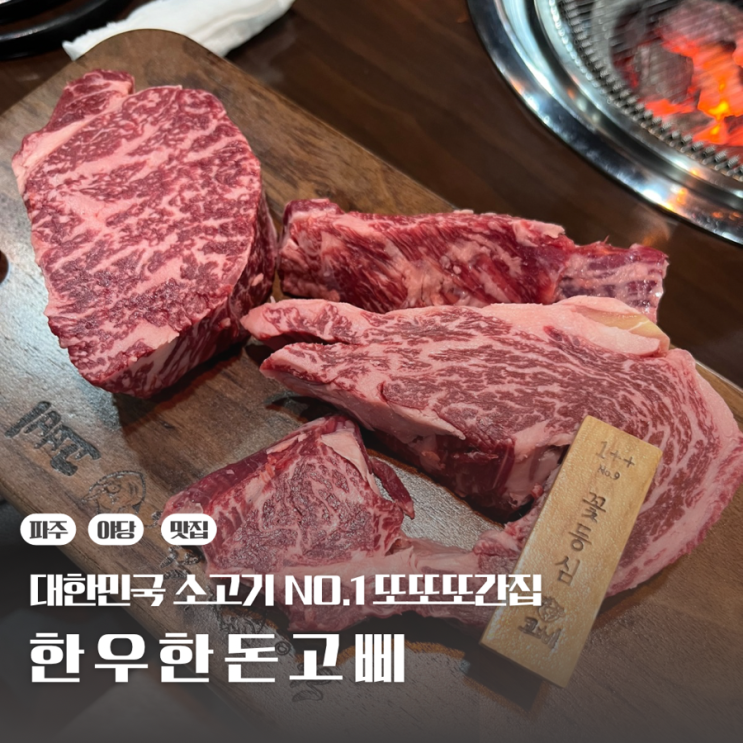 [파주/운정/야당 맛집] 대한민국 소고기 NO.1 한우한돈고삐 또또또간집 : 네이버 블로그